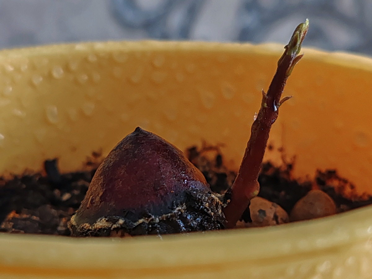 Толян в январе 2024г.