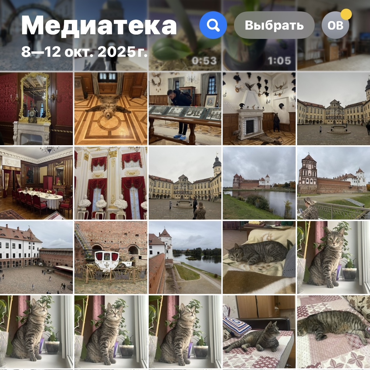 Моя галерея фотографий.