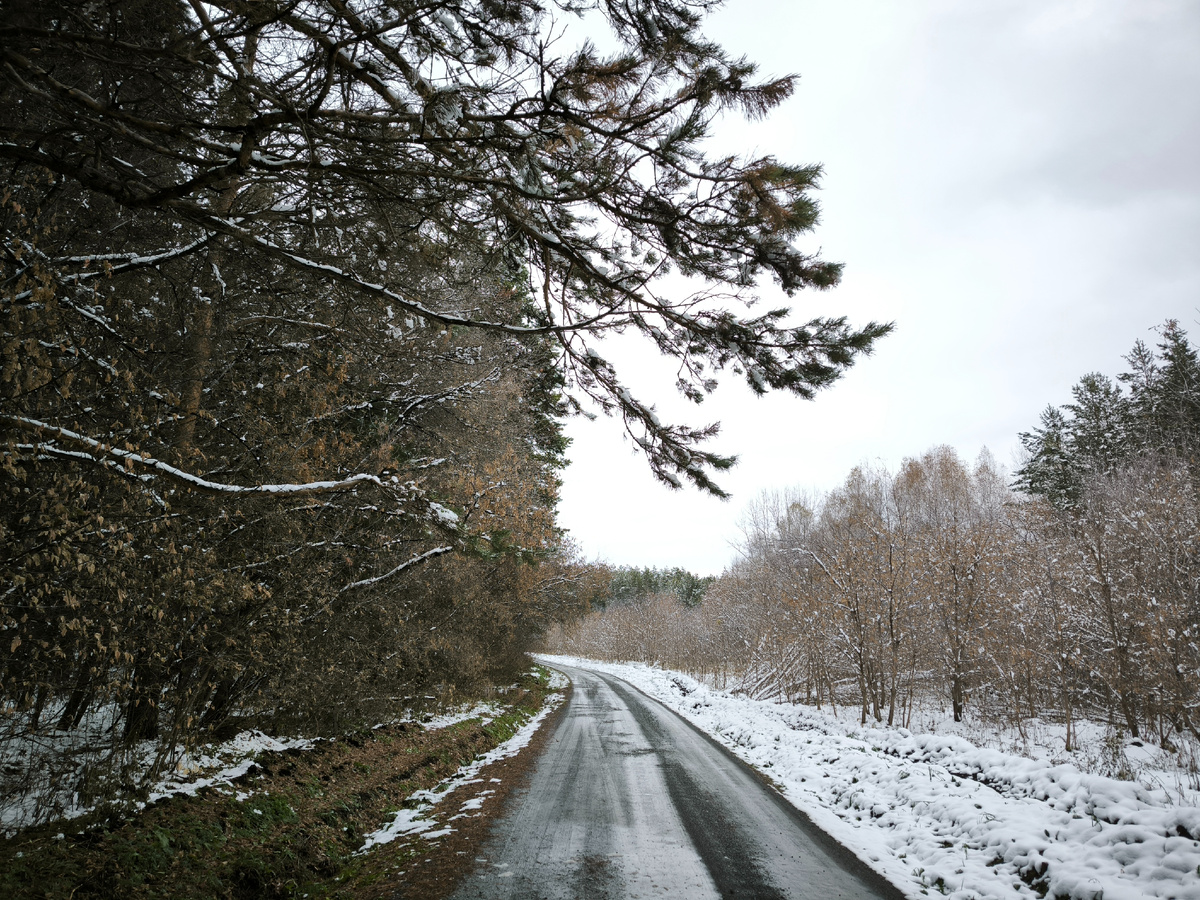 По дороге к дачам