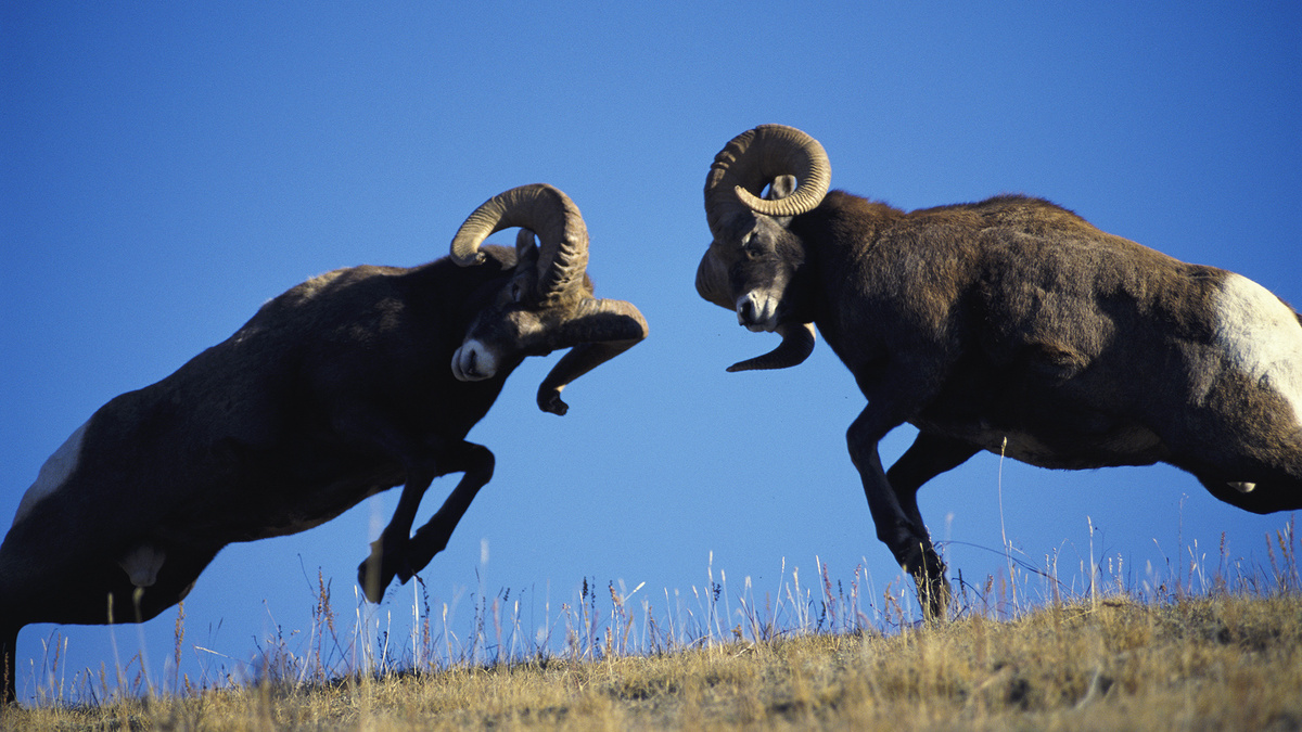 Фото с сайта: https://bigthink.com/videos/learn-how-to-learn-better-with-the-pomodoro-technique/