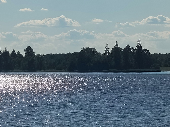 Озёра Удомельского района Тверской области. Фотография автора. 2024 год