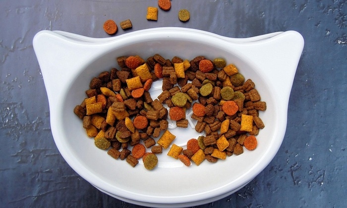    Китайский студент ест кошачий корм, чтобы оплатить учёбу в Швейцарии