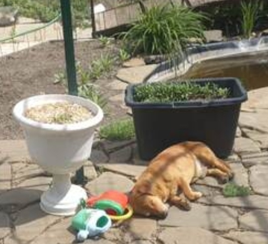 Фото автора