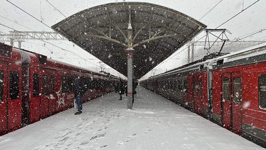    Фото: ИЗВЕСТИЯ/Дмитрий Коротаев