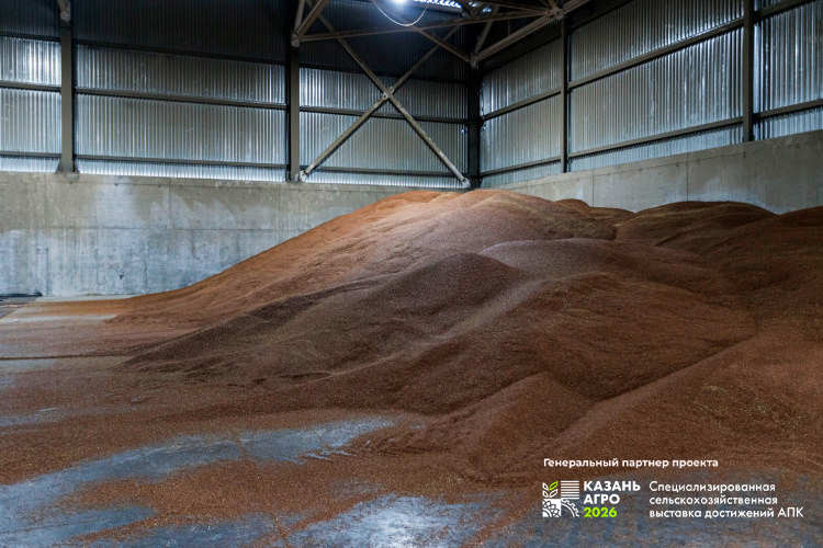 Голосовать!Нефтяники начали делать корм из метана. Дальше — глубокая переработка зерна
