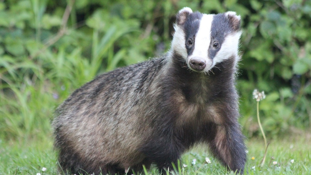 Фото с сайта: https://plitkakolomna.ru/bm/