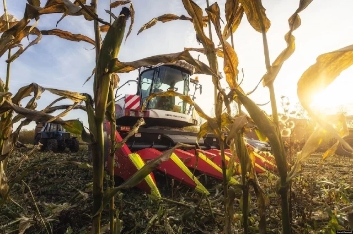   Денис Паслер поздравил работников сельского хозяйства с праздником