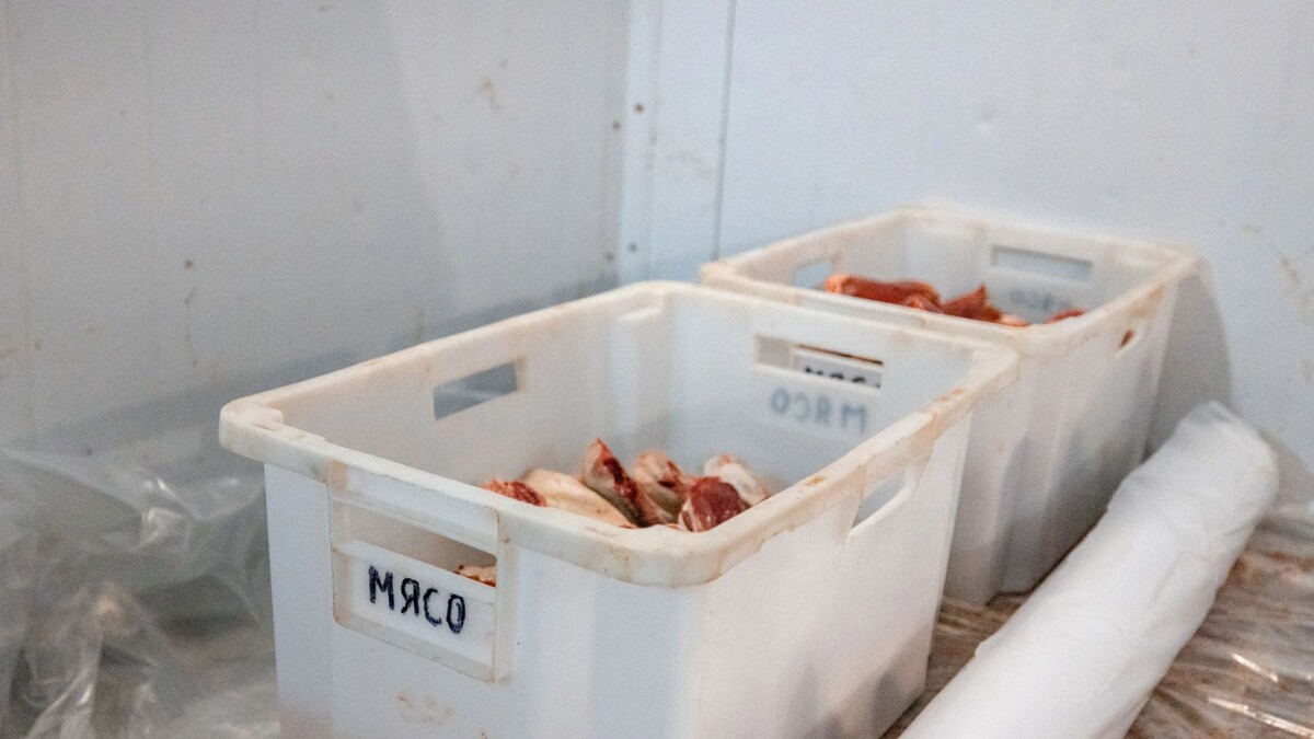    Фото: Сергей Зубков / «Ямал-Медиа»