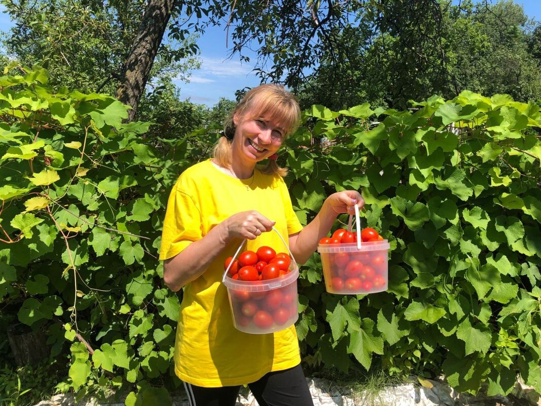    Урожай радует глаз и душу супруги Надежды Давыденко