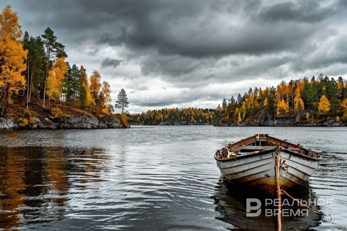   Реальное время / realnoevremya.ru