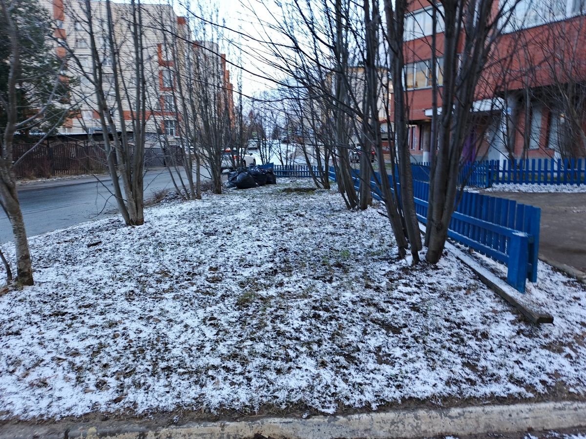    «Декабрь будет самым странным в XXI веке». Синоптики сообщили, как начнется зима