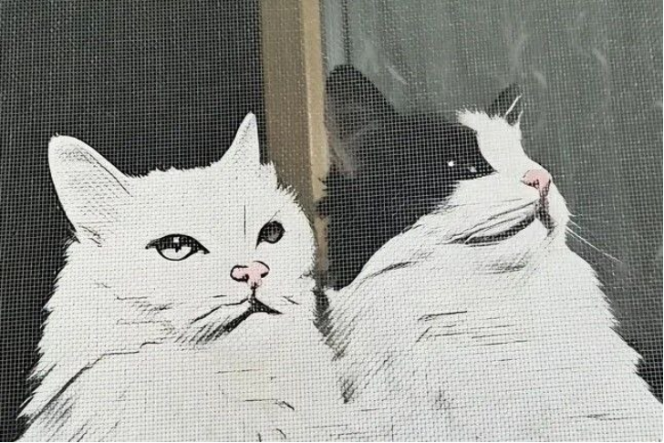 Алиса и Афина. Иллюстрация автора.