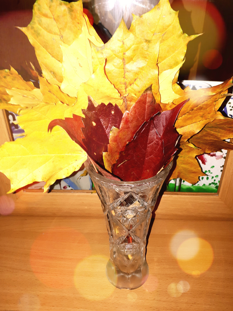 Фото автора 11.10.2025г.