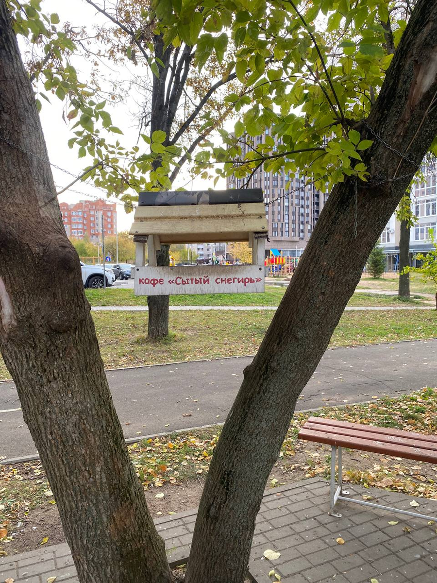 Новое заведение общественного питания в Иваново кафе "Сытый снегирь"