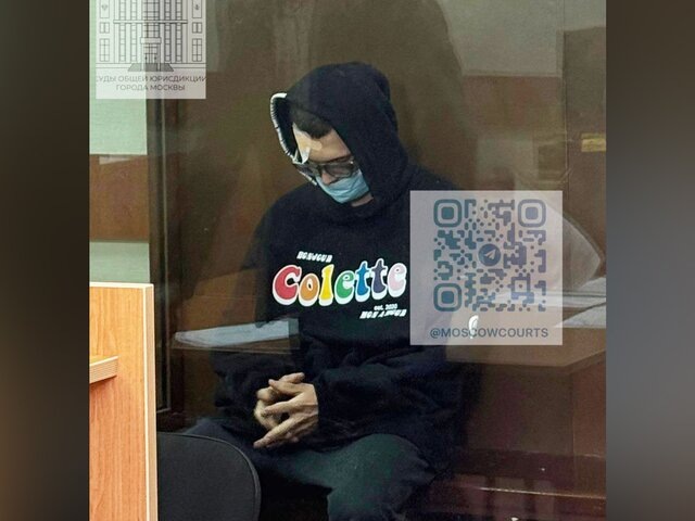    Фото: телеграм-канал "Суды общей юрисдикции города Москвы"/(Никита Ефремов включен в список террористов и экстремистов Росфинмониторинга)