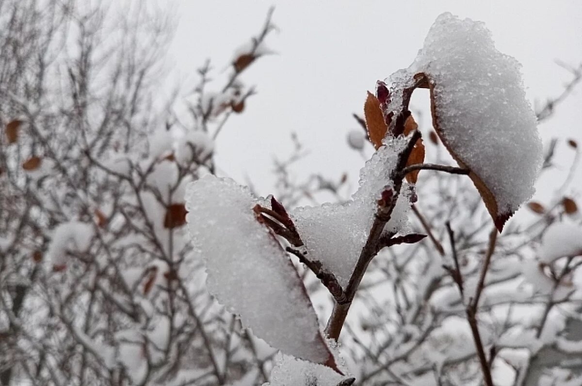    Снег и ледяной дождь накроют Свердловскую область