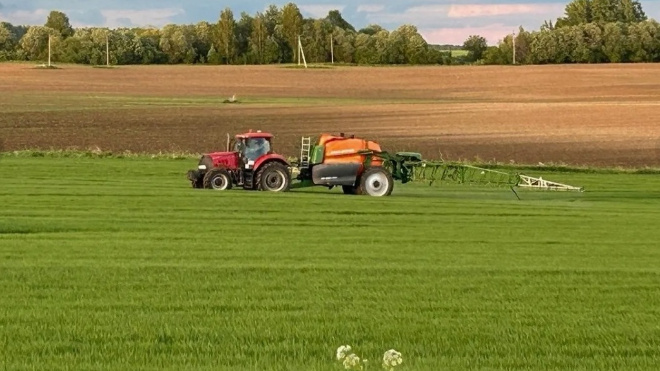 Фото: vologda.mk.ru