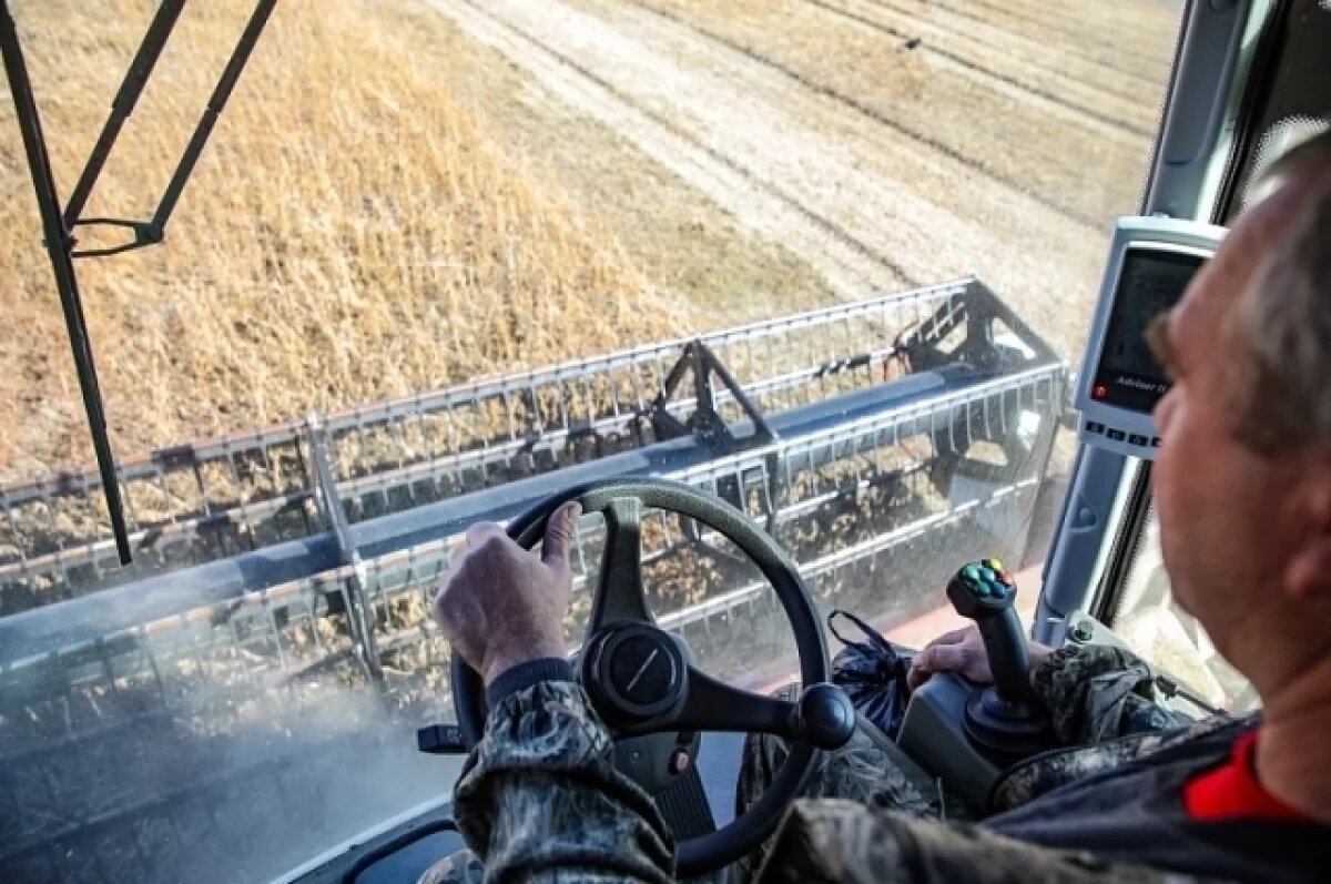    Псковская область вошла в число лидеров по экспорту аграрной продукции