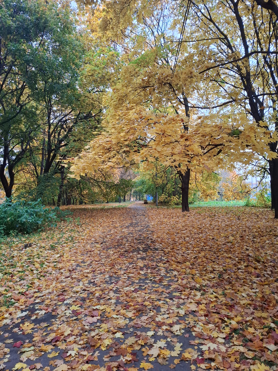 Как же красиво осенью