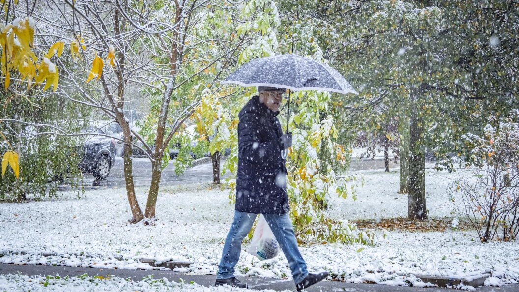    Фото: Константин Кокошкин/Globallookpress.