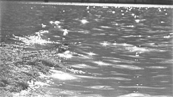    © РИА Новости . Иван Денисенко