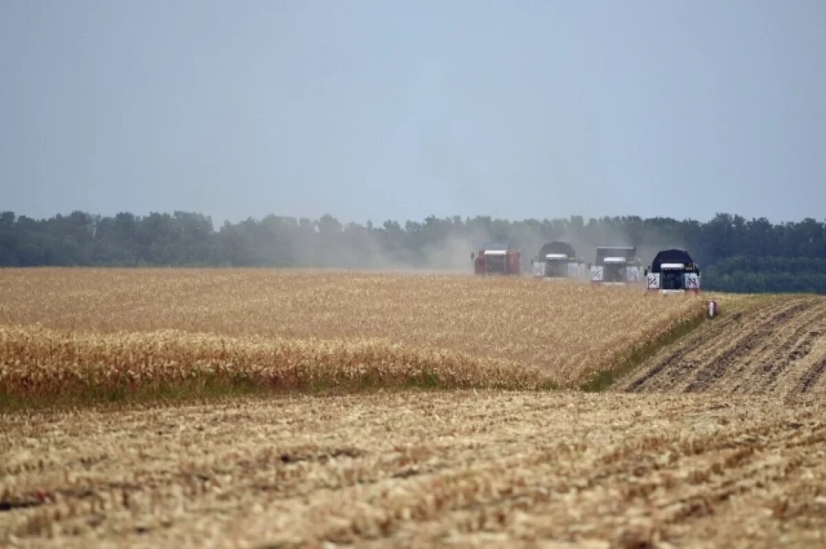    Каждый десятый трудоспособный житель Омского региона работает в АПК