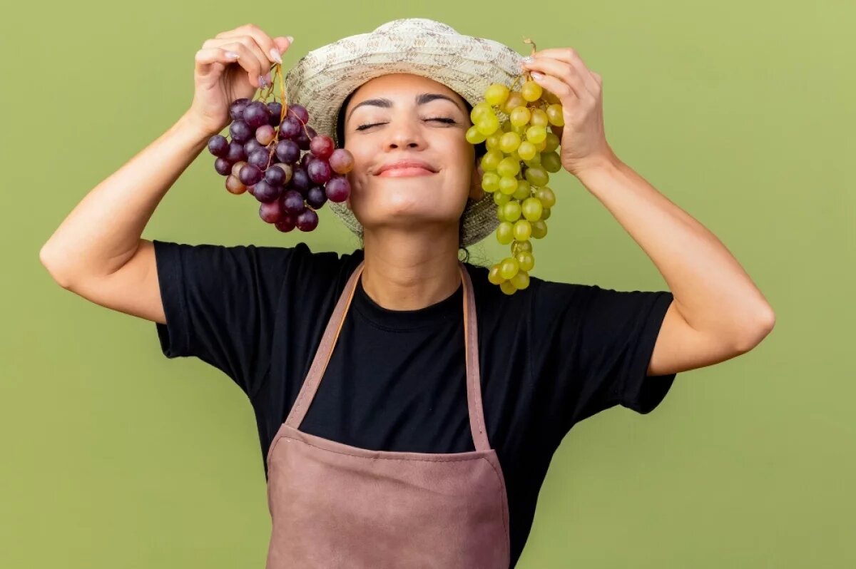    Накормим, напоим, покажем.