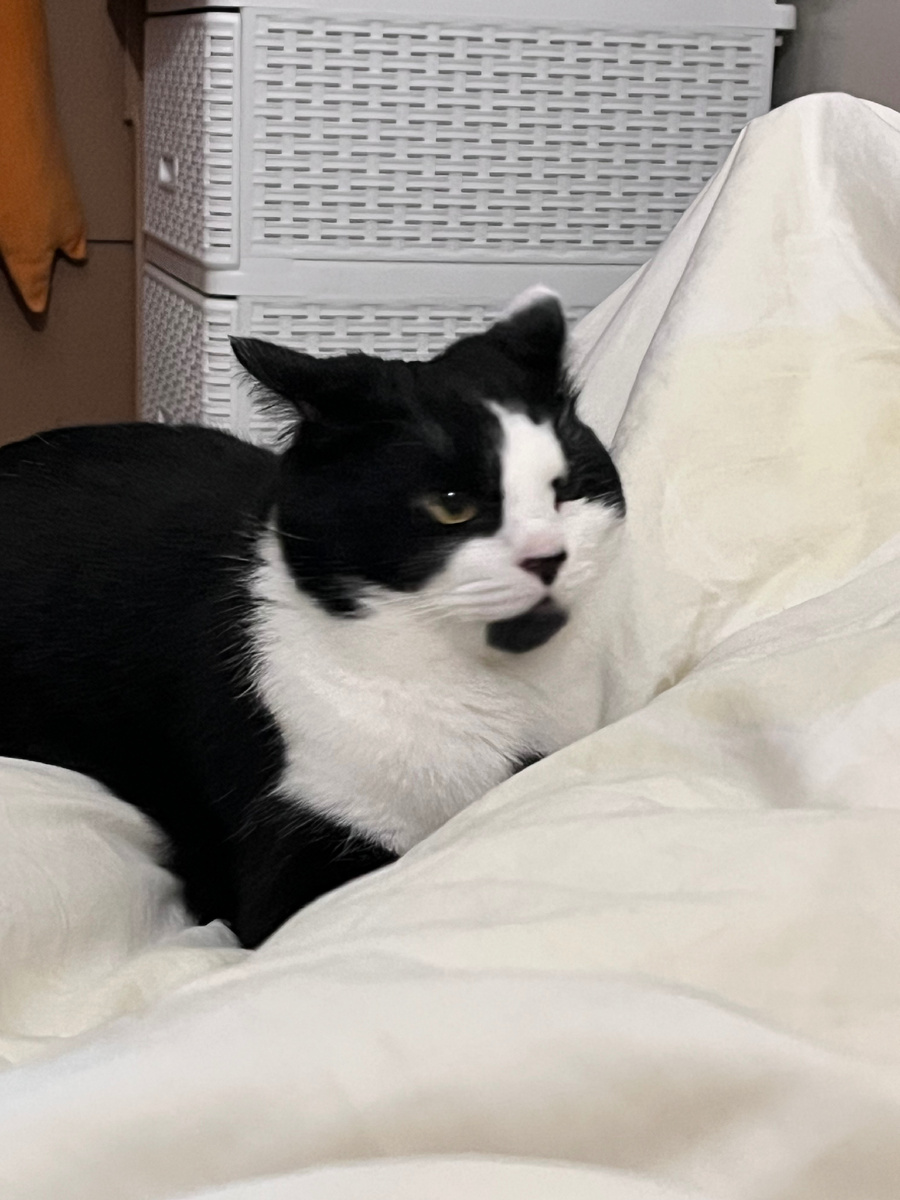 Задумчивый вид: «Где же еда?»