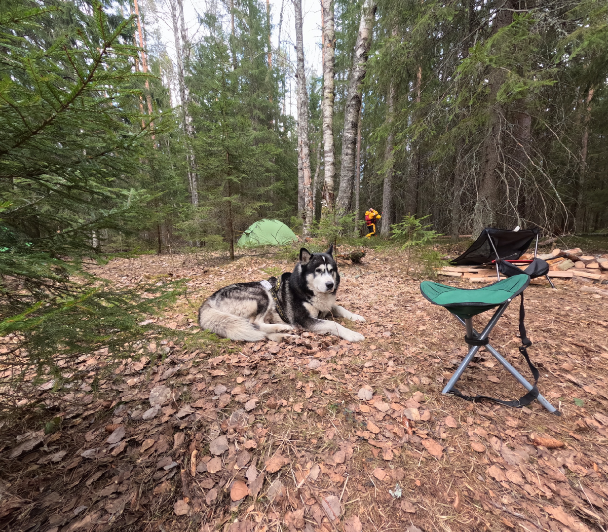 Автор фото: Андрей Крылов