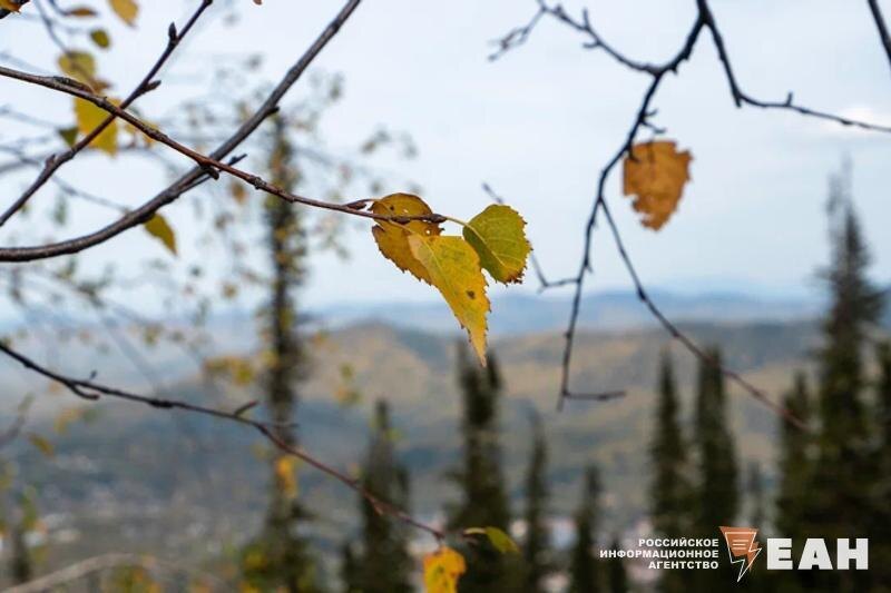    ЕАН / Осенняя погода