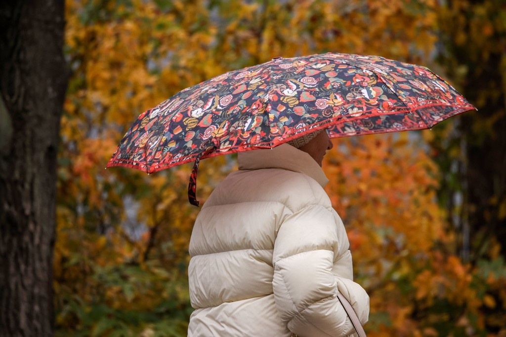    Фото © Анастасия Романова / Абзац