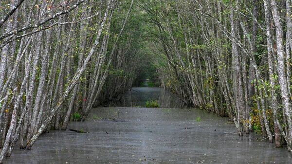    © Sputnik / Виктор Толочко