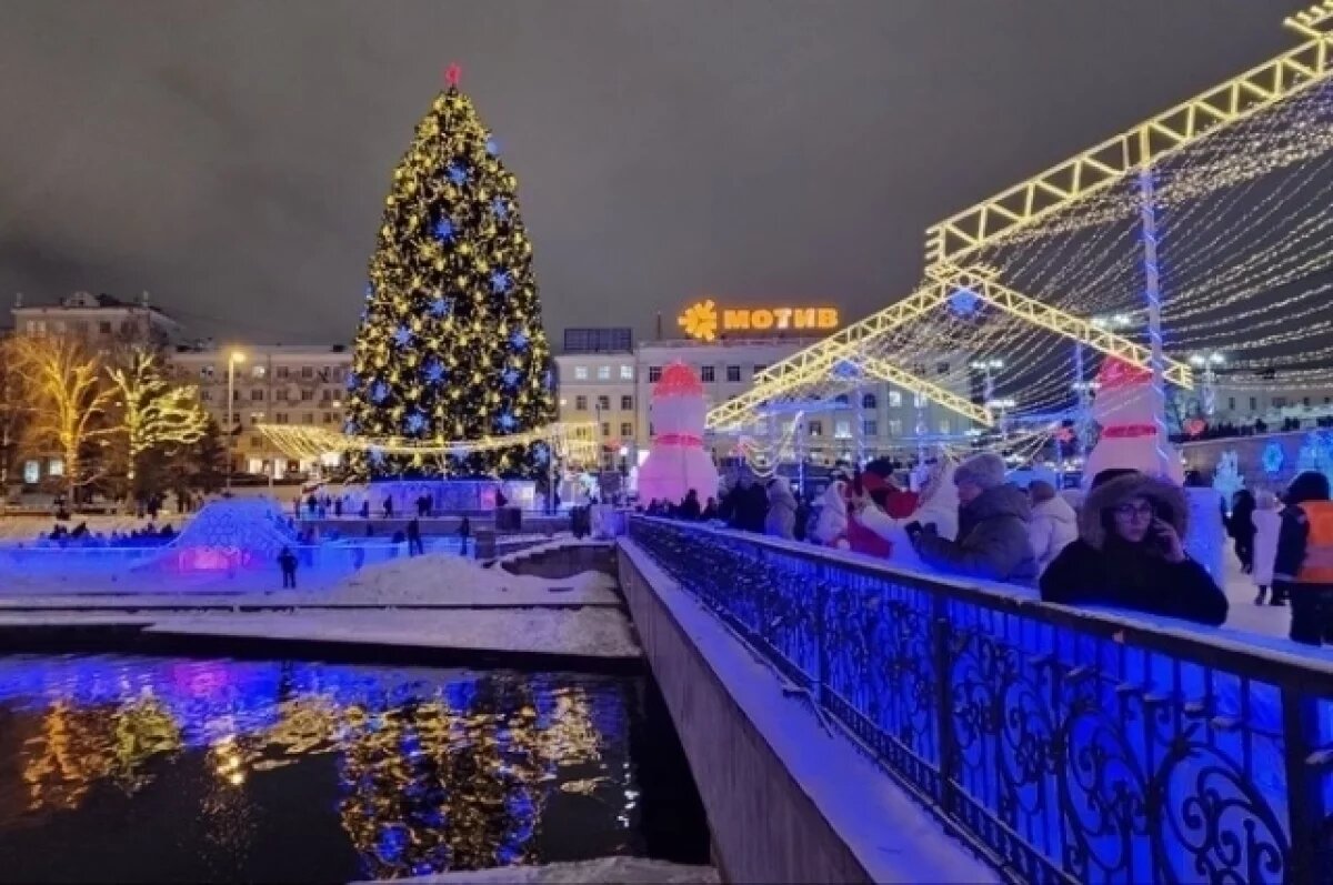    Ледовый городок обойдется Екатеринбургу в 26 миллионов рублей