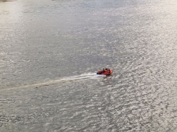     Фото: МК в Новосибирске