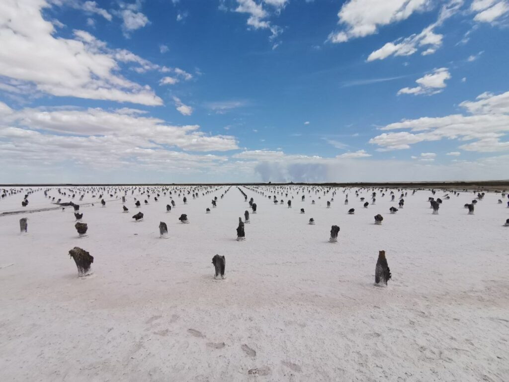    Фото: Главный региональный