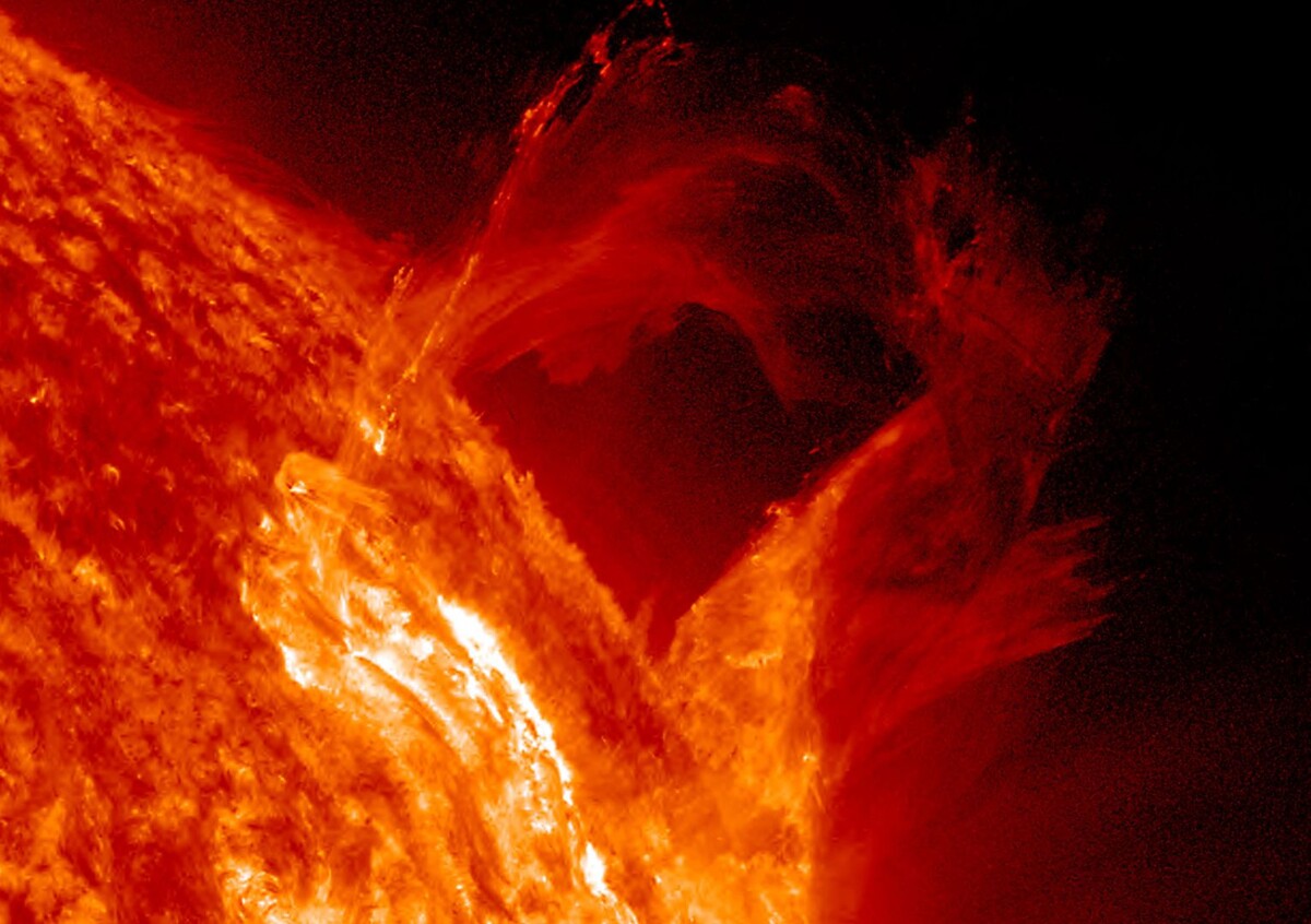     / Источник: © Global Look Press