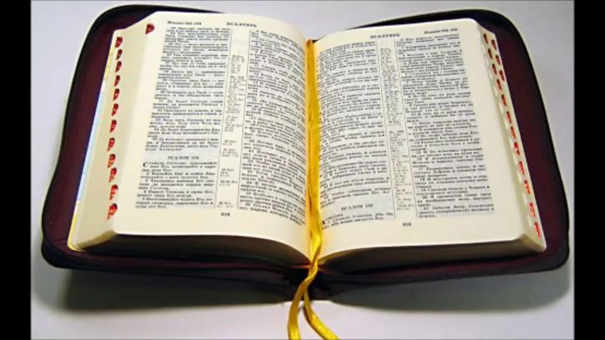 взято в интернете 