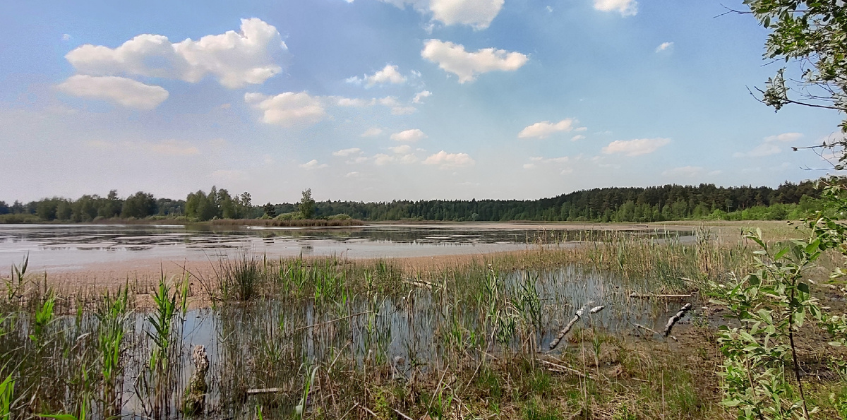 Мазуровское озеро