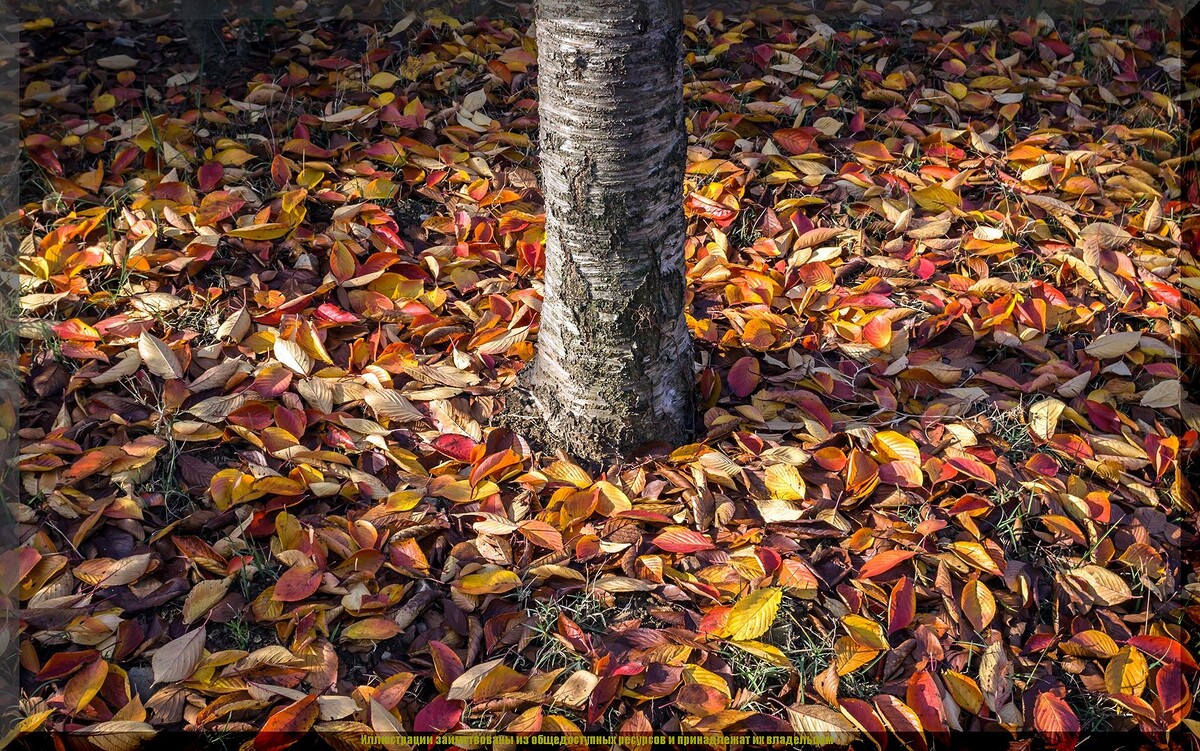https://vk.com/photo-159774511_457273024