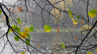    foto.ru Юлия Виноградова