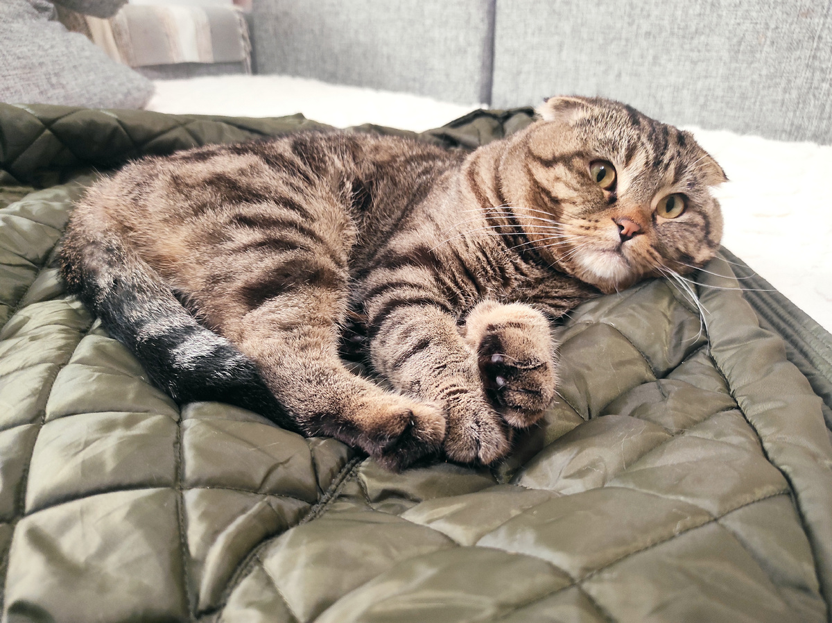 Любовь и есть )