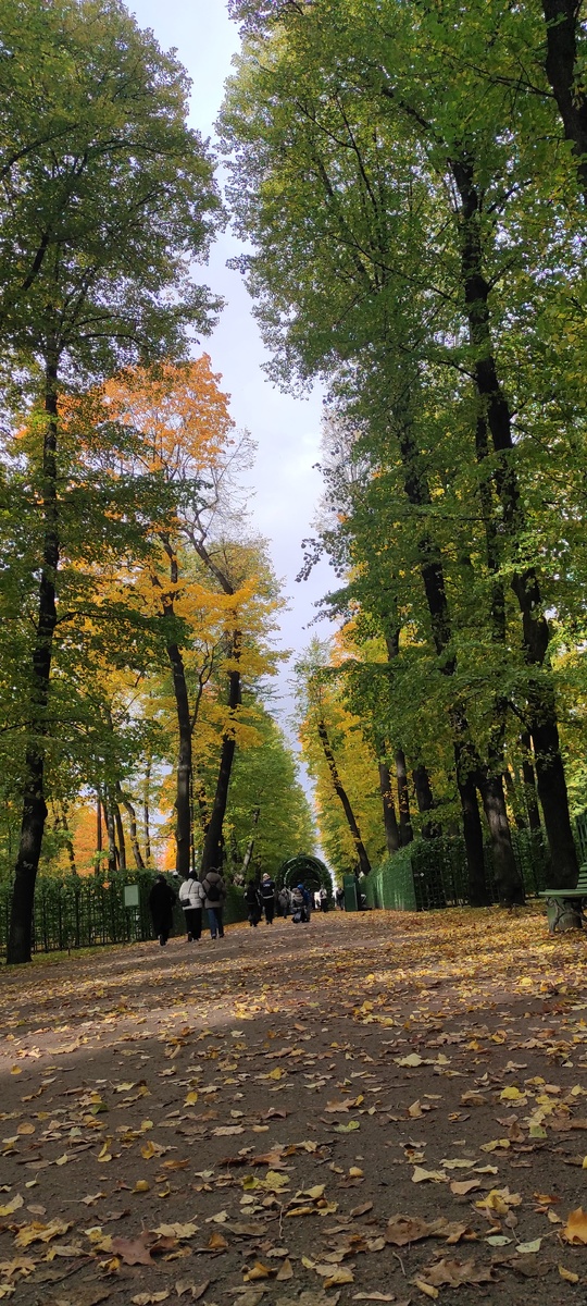 главная аллея Летнего сада