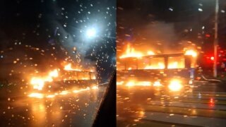    t.me/selhoz_umr_krasnodar Юлия Виноградова