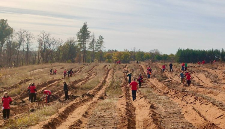 Источник новости: https://nia.eco/2025/10/06/108730/