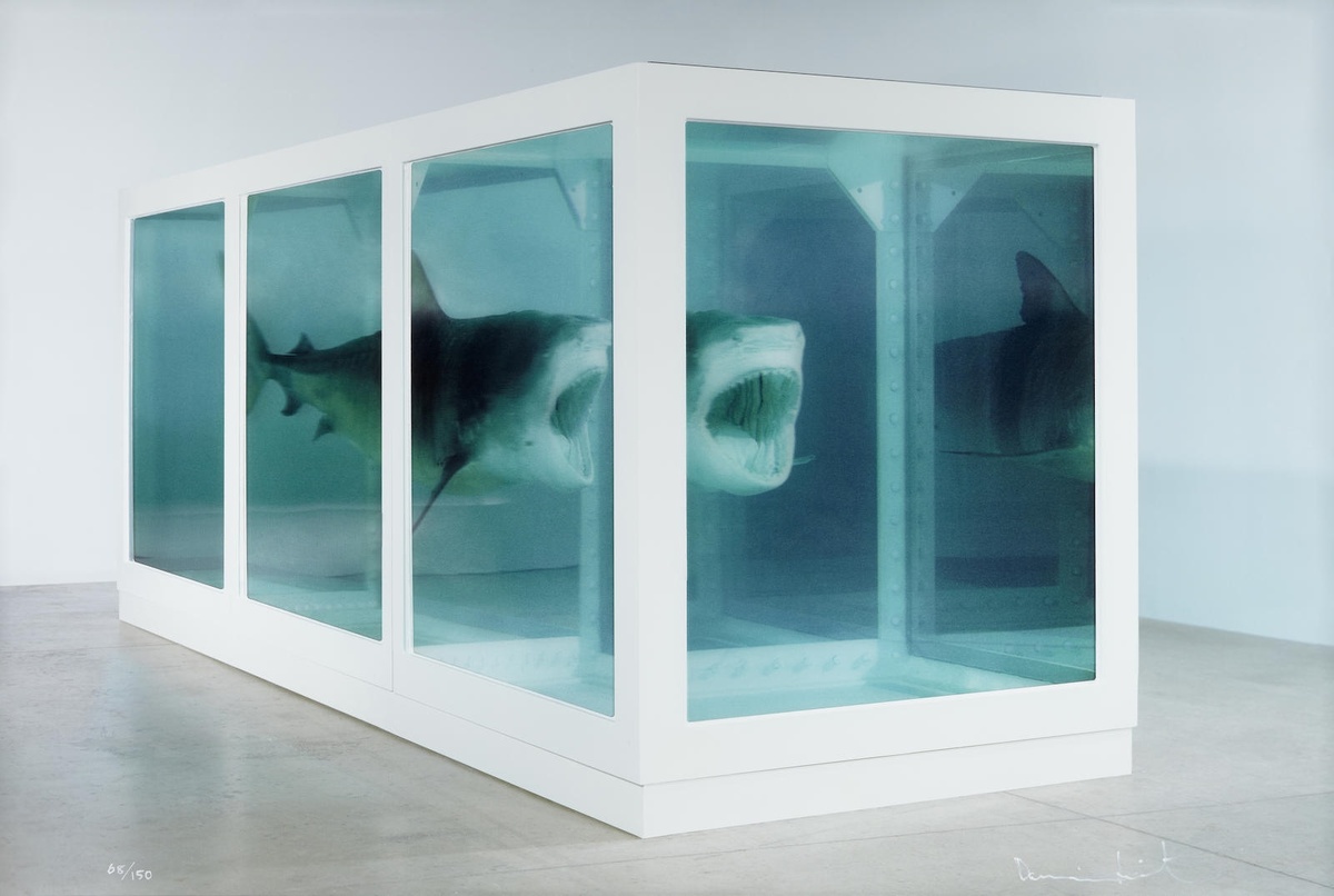 «Физическая невозможность смерти в сознании живущего» Дэмиен Хёрст