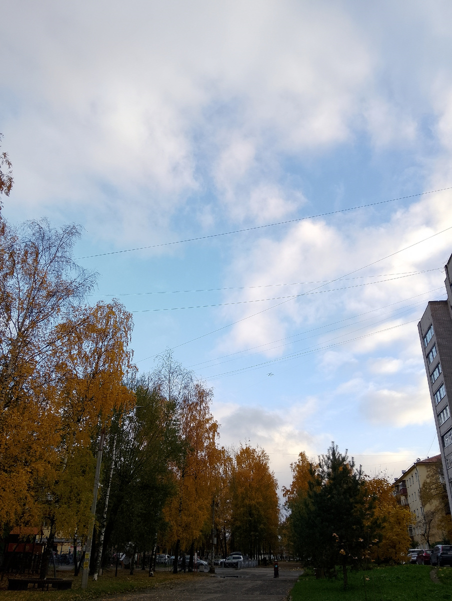 Около 16.00 небо местами даже стало очищаться от облаков, но не на долго, т.к. в начале седьмого вечера вновь пошёл дождь. Фото автора 