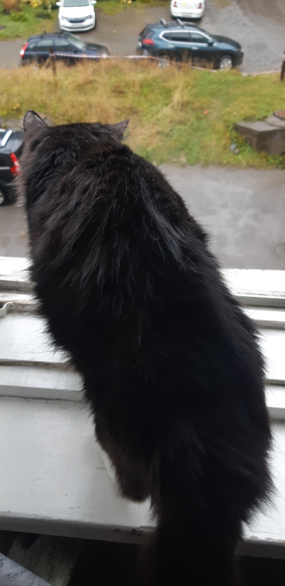 Ну, и куда вы хотите, чтоб я шёл?? Вот в эту чачу-мачу? Благодарю покорно, поясной поклон кладу! Идите сами, у вас шагомеры, а у меня их нет.В добрый путь! Я посторожу здесь кастрюлю с борщом.