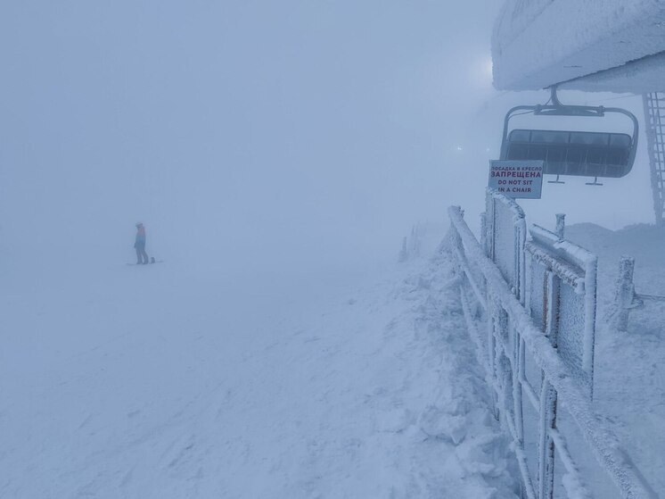     Горнолыжный курорт будет включать в себя трассы для сноуборда, горных и беговых лыж, детские горки и аквапарк. Фото: архив МК в Питере