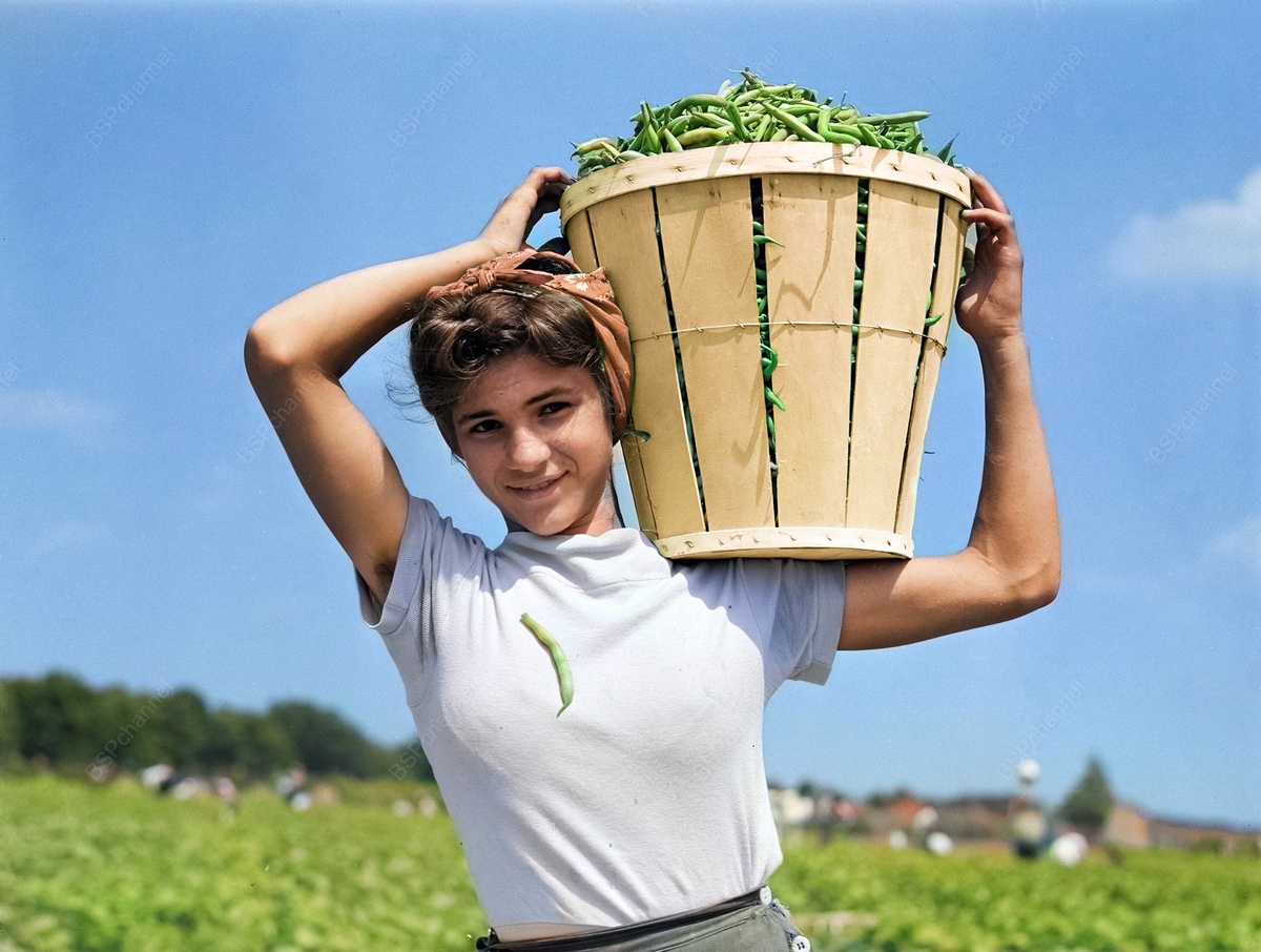 Фотограф:  Мэрион Пост Уолкотт