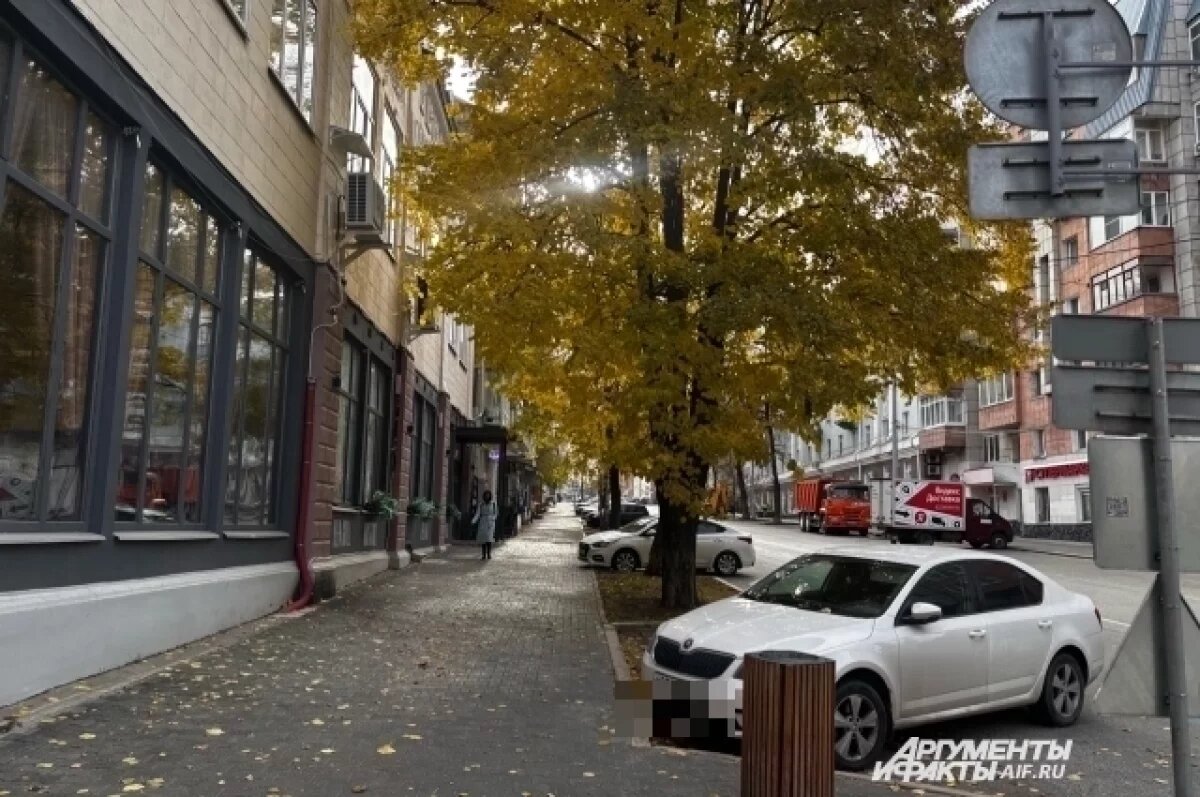    Мощный ветер в Перми продолжит усиливаться